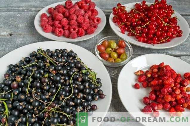 Różne konfitury jagodowe - smak letniego ogrodu