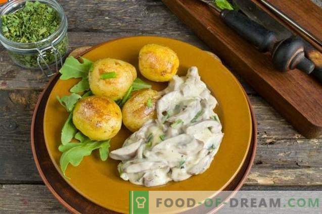 Pork kidneys in sour cream with onions and potatoes