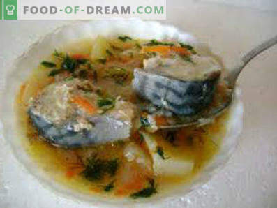 Zupa ze świeżo mrożonej makreli, przepisy ze zdjęciami. Jak gotować zupę z makreli