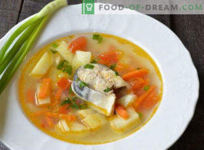 Zupa ze świeżo mrożonej makreli, przepisy ze zdjęciami. Jak gotować zupę z makreli