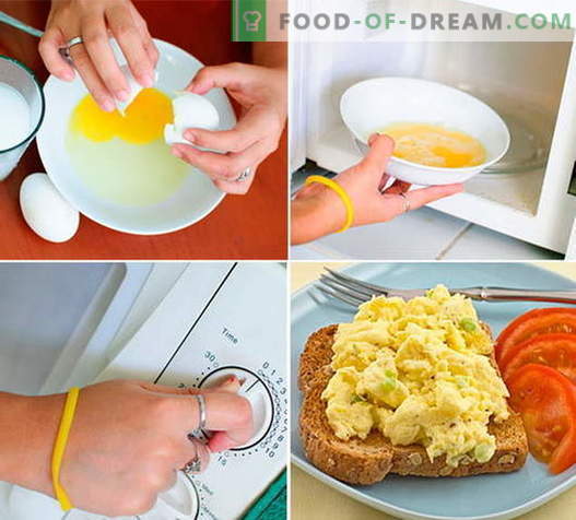 Omlet w sprawdzonych recepturach mikrofalowych. Jak prawidłowo i smacznie ugotować omlet w kuchence mikrofalowej.