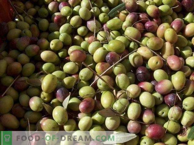 Măsline sau măsline - care este diferența și beneficiile?