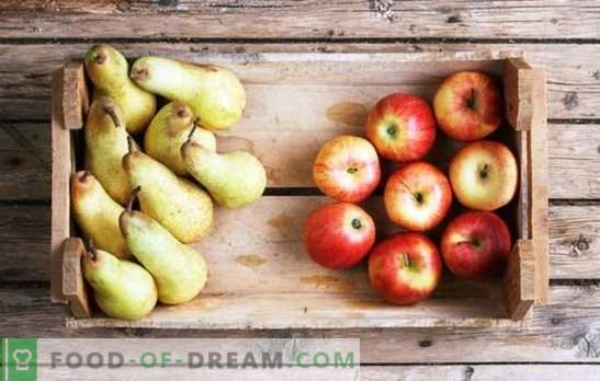 Kompot z jabłek i gruszek na zimę: składniki smaku. Ulubiony kompot z jabłek i gruszek na zimę w przepisach bez zawiłości