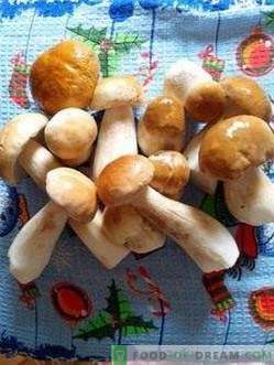 Marynowane białe grzyby z cynamonem