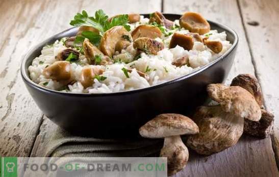 Risotto z grzybami - tajemnice i subtelności gotowania włoskich potraw. Przepisy na pyszne risotto z grzybami
