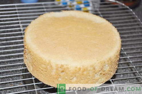 Ciasto gąbczaste - najlepsze przepisy. Jak prawidłowo i smacznie gotować ciasto biszkoptowe.