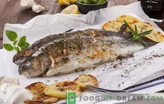 Złap ryby, wszystko jest pyszne na grillu! Przepisy z grilla na ryby morskie i rzeczne: pomoc kulinarna dla rybaków i miłośników pysznych ryb