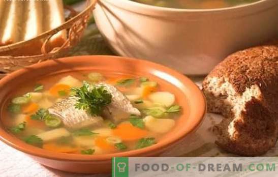 Zupa rybna okoń - pyszne zupy w domu. Jak ugotować ucho z okonia: tajemnice, przepisy kulinarne, wskazówki