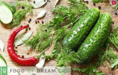 How tasty to make salted cucumbers? Variants of salted cucumbers with oak bark, horseradish, lemon, mint, vinegar and bread