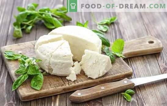 Ser z kwaśnego mleka to naturalny produkt mleczny. Warianty wytwarzania sera z jogurtu w domu