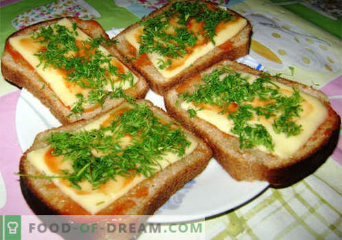 Käse-Sandwiches sind die besten Rezepte. Wie schnell und lecker Brötchen mit Käse kochen.