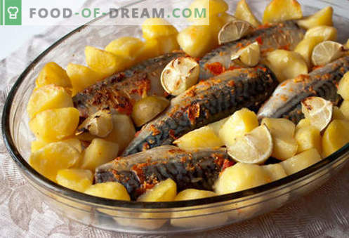 Makrela z ziemniakami - najlepsze przepisy. Jak właściwie i smacznie gotować makrele z ziemniakami.
