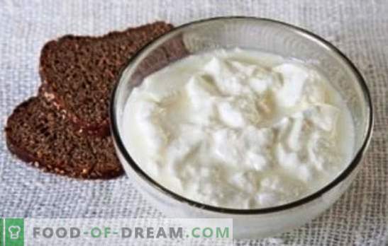 Jak zrobić domowy jogurt z mleka - produkty mleczne na każdy gust. Sekrety: jak zrobić domowy jogurt z mleka na trzy sposoby