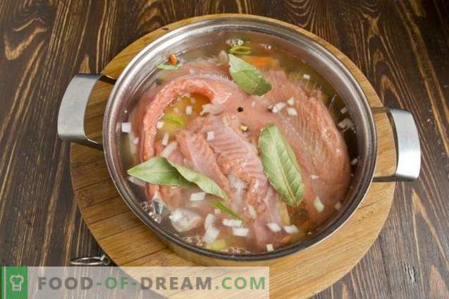 Sopa de salmón de pescado