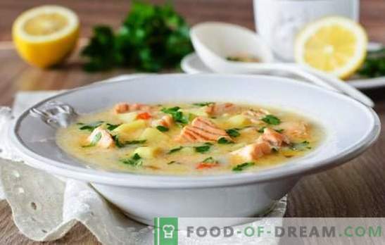 Kremowa Zupa Serowa to proste danie dla smakoszy. Najlepsze przepisy na zupy serowe z sera topionego