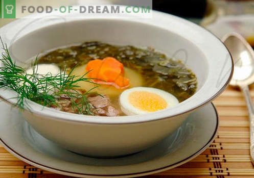 Zupa szczawiowa - sprawdzone przepisy. Jak prawidłowo i smacznie gotować zupę szczawiową.