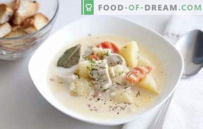 Chicken fillet soup - he and you will like me! Recipes for soup with chicken fillet: rice, cheese, mushroom, vegetable, with beans