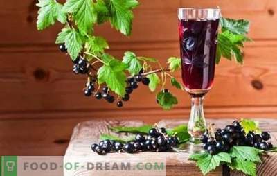 Currant tincture at home - rich color and taste. How to prepare a currant tincture at home on alcohol, vodka, moonshine