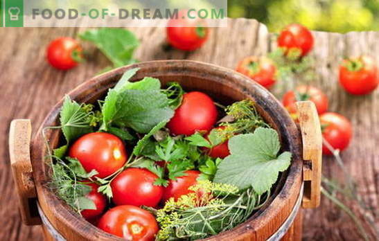 Zielony i czerwony, smak to wspaniałe, słone pomidory w beczce na zimę. Różne sposoby zbierania pomidorów w beczce na zimę
