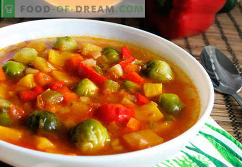 Plantaardige bouillon soep - de beste recepten. Hoe goed en lekker soep koken in plantaardige bouillon.