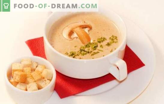 Puree z zupy grzybowej - delikatna wersja twojego ulubionego dania. Najlepsze przepisy na zupę z grzybów: śmietana, ser, ryż, brandy, krewetki