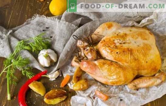 Co ugotować na obiad kurczaka szybko i smacznie: od klasycznego do egzotycznego. Jak szybko i smacznie ugotować obiad z kurczaka?