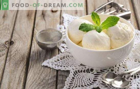 ¡El helado hecho de leche en casa es un producto natural! Recetas de deliciosos helados de leche en casa