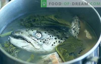 Kala pead supid - retseptid ja toiduvalmistamisviisid. Kala supid riisiga, hirss, köögiviljad