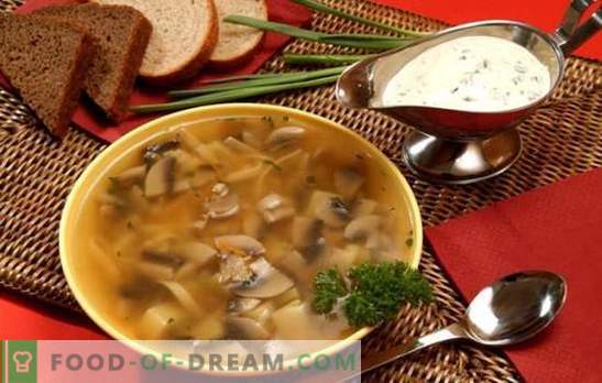 Zupa grzybowa w wolnej kuchence - dla tych, którzy cenią pyszne jedzenie. Gotowanie szybkich, satysfakcjonujących i smacznych zup grzybowych w wolnej kuchence bez kłopotów