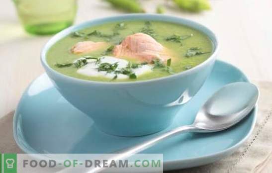 Zupa rybna z chum - przydatna, prosta, smaczna. Najlepsze przepisy na zupę keta (z głowy, ogona, płetw) na każdy gust: z kaszą i kukurydzą