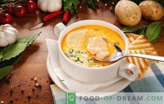 Zupa rybna - zupa o wyjątkowym smaku! Przepisy na różne zupy rybne z konserwy, świeże tusze i filety, kapusta, fasola