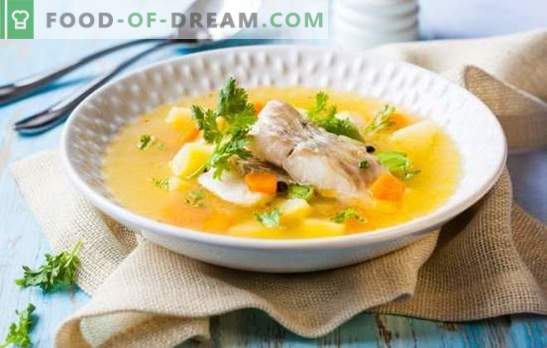 Ucho sterletowe - niezrównany smak i aromat zupy rybnej. Jak gotować smaczną zupę rybną ze sterletu