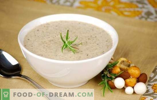 Zupa krem ​​grzybowa - popularne przepisy. Jak zrobić zupę grzybową w wolnej kuchence, ze śmietaną lub z serem