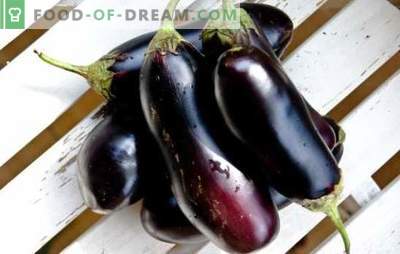 Bevroren aubergines voor de winter: gebakken, gefrituurd, geblancheerd. Hoe aubergines bevriezen voor de winter heel en in de vorm van snijden