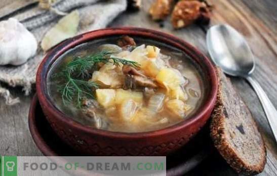 Zupa z kiszonej kapusty z grzybami: tradycyjna i oryginalna. Tajemnice kapuśniaku z grzybami, kaszą gryczaną, fasolą, jęczmieniem perłowym