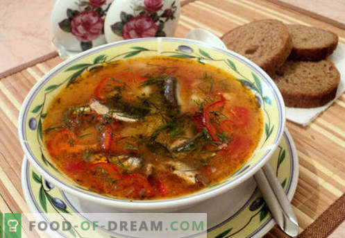 Zupy szprotowe pomidorowe - sprawdzone receptury. Jak prawidłowo i smacznie ugotować zupę pomidorową szprota.