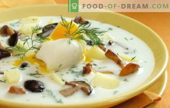 Zupa grzybowa - jest prosta i przydatna! Najprostsze przepisy na zupę z grzybów: z mięsem, płatkami, garnkami, marynatami i mieszanką