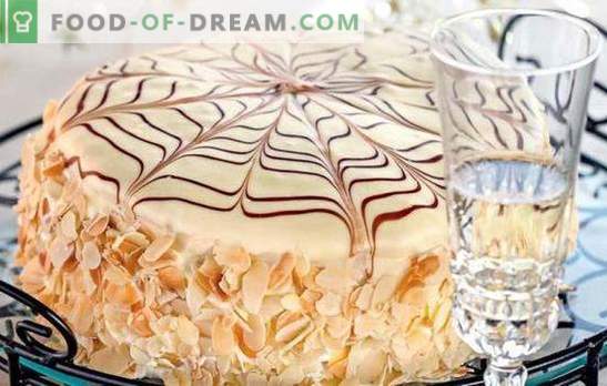Ciasto „Pająk” - oryginalny projekt domowego deseru. Złożone i proste przepisy na ciasto „Pajęcza sieć”
