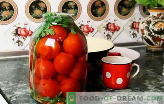 Najlepsze przepisy na pomidory pod osłoną kapronu. Jak przygotować pomidory pod osłoną kapronu: wskazówki doświadczonych gospodyń domowych