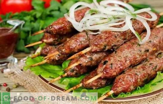 Tradycyjny kebab na grillu: od czego i jak. Przepisy na kebab jagnięcy z jagnięciny, wieprzowiny, kurczaka i ziemniaków