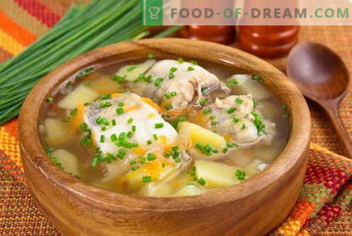 Zupa rybna - najlepsze przepisy. Jak prawidłowo i smacznie gotować zupę rybną.