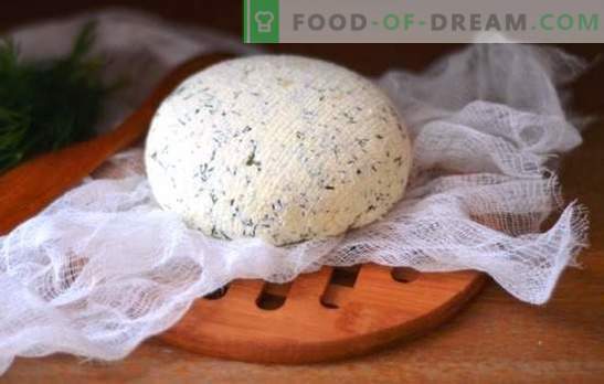 Ser Kefir w domu - smaczny, ekonomiczny, zdrowy. Jak robić różne rodzaje sera z kefiru w domu