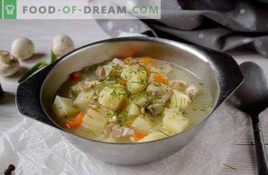Zupa grzybowa z kurczakiem i serem topionym: piękne i zdrowe pierwsze danie. Przepis na zupę z kurczakiem i serem topionym: krok po kroku
