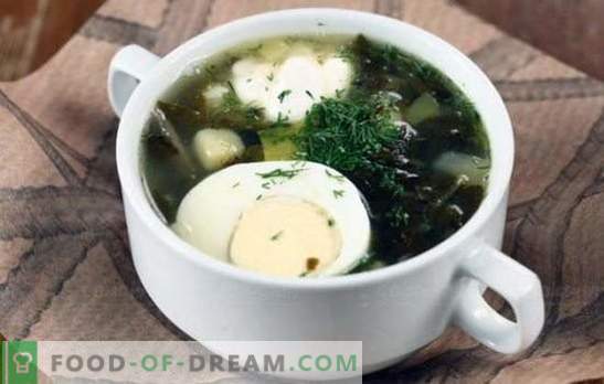 Zielona zupa - ładunek witamin i jasny smak! Przepisy różnych zielonych zup ze szczawiem i kapustą, grzybami, rybami, pokrzywami, fasolą