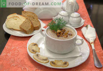 Пюре от гъби - доказани рецепти. Как правилно и вкусно приготвя супа от шампиньони.