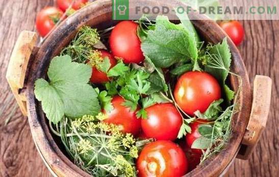 Solenie pomidorów na zimę: przepisy kulinarne puste z całych i krojonych pomidorów. Odkryj tajemnice udanych solonych pomidorów na zimę