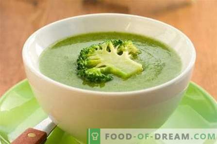 Zupa brokułowa - najlepsze przepisy. Jak prawidłowo i smacznie gotować zupę brokułową.