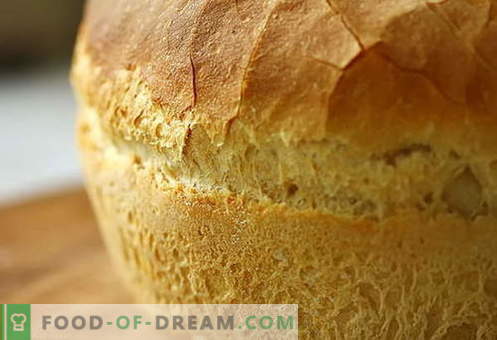 Chleb w piekarniku - najlepsze przepisy. Jak prawidłowo i smacznie gotować chleb w piekarniku.