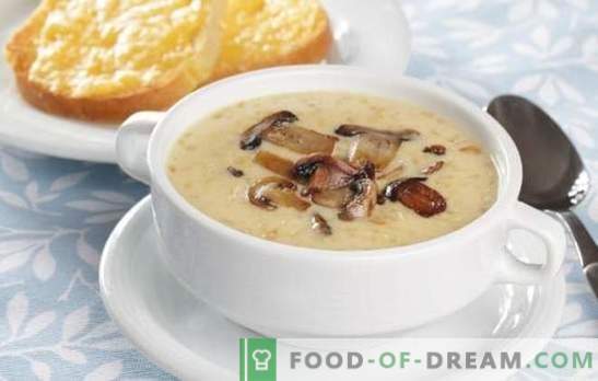 Zupa serowa z grzybami - niespodzianka w domu niezwykła kolacja. Przepisy na zupę serową z grzybami: czytaj i gotuj!