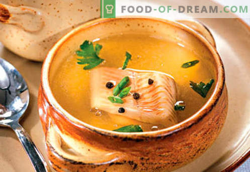 Caldo de pescado - las mejores recetas. Cómo cocinar correctamente y sabroso el caldo de pescado.